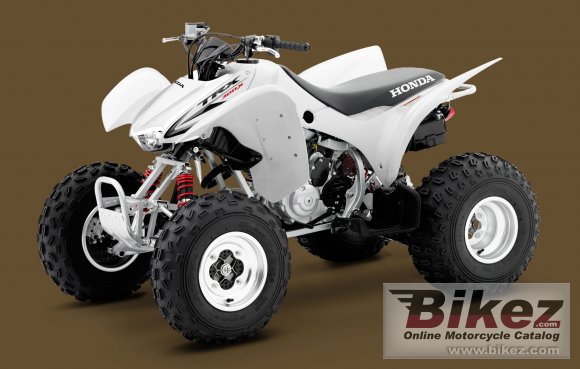 2012 Honda TRX300X photo